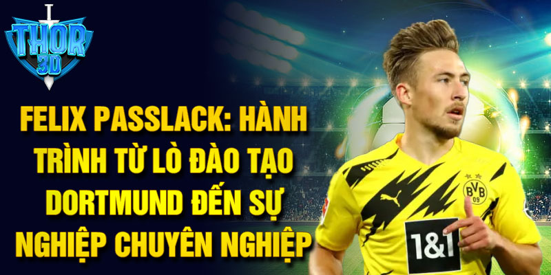 Felix passlack: hành trình từ lò đào tạo dortmund đến sự nghiệp chuyên nghiệp